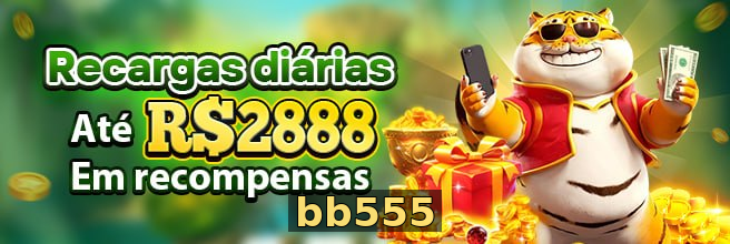 bb555 - Galeria 1